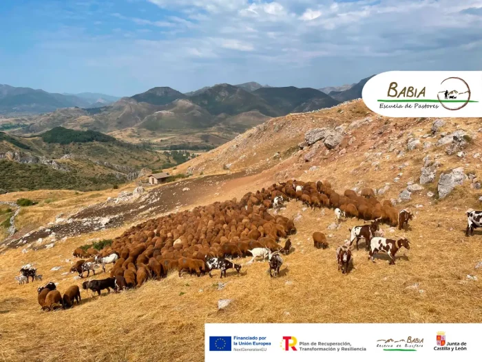 Curso de pastoreo - Escuela de Pastores de Babia