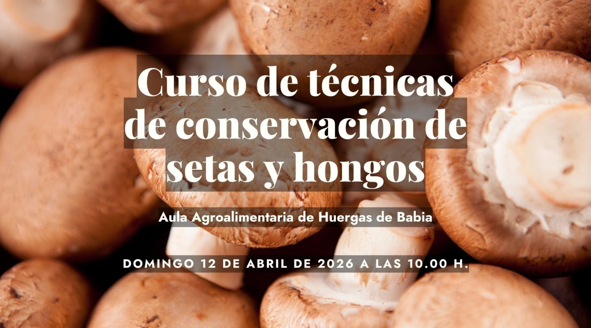 Curso de conservación de setas 2026 WEB