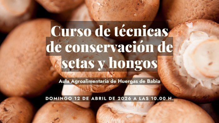 Curso de conservación de setas 2026 WEB