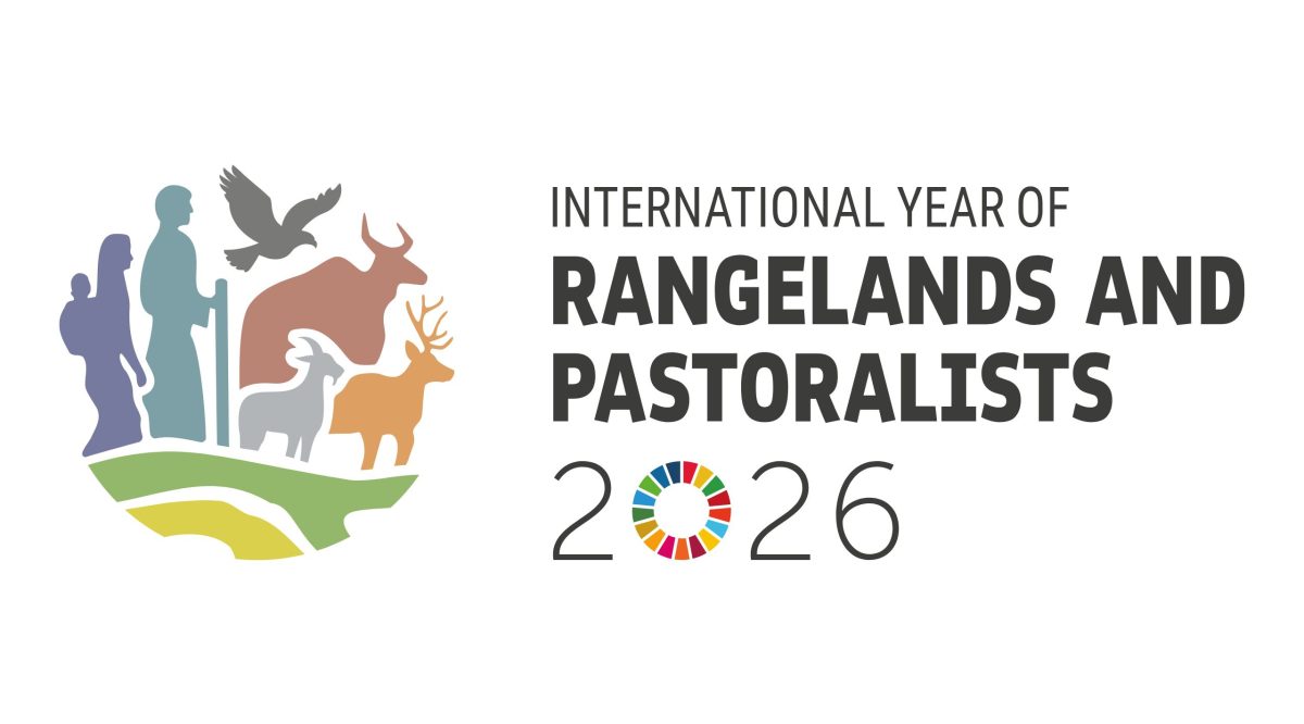 Año internacional de los pastos y los pastores(2560 x 1440 px) WEB