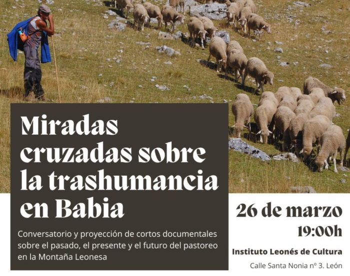 poster miradas cruzadas